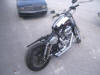 New Harley Davidson Sportster Custom 1200C